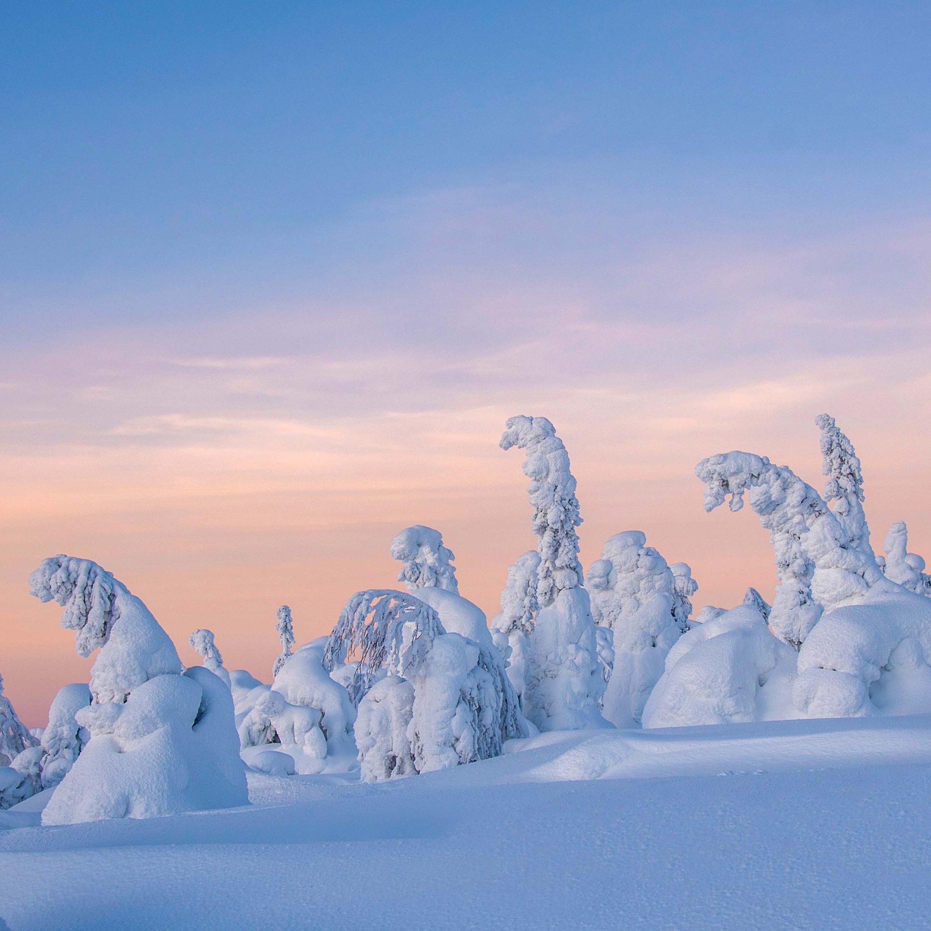 Snowy scenery in Lapland Finalnd