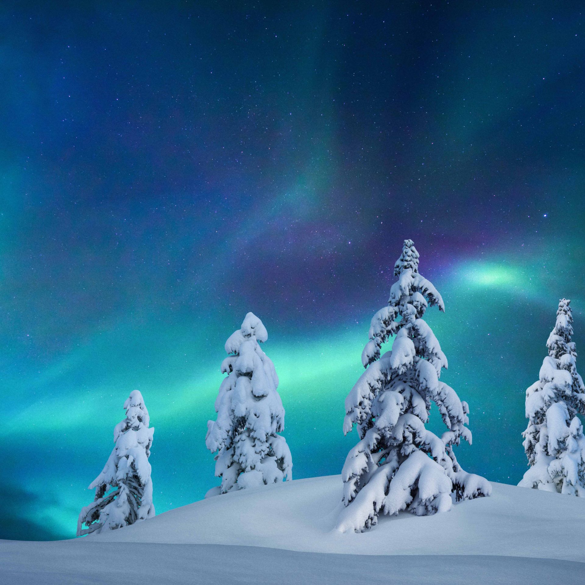 Lapland Luxury is a private Destination Management Company operating in Lapland, Finland. We are specialized in tailor-made luxury experiences with deep understanding of the delicate Arctic environment.
