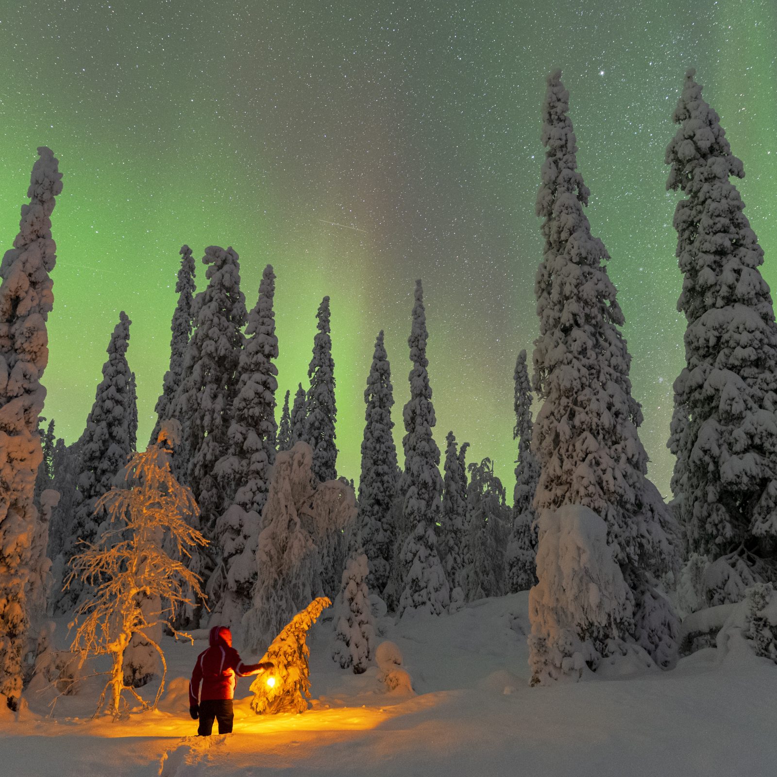 Private Northern Light tours to ensure the memorable experience. | Lapland Luxury