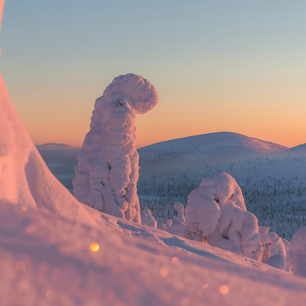 Beautiful snowy arctic scenery during sunset. | Lapland Luxury