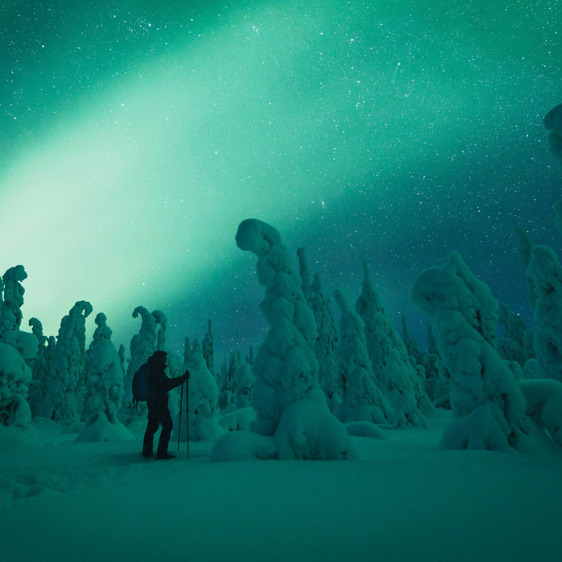 Man amazed of the magical northern lights. | Lapland Luxury