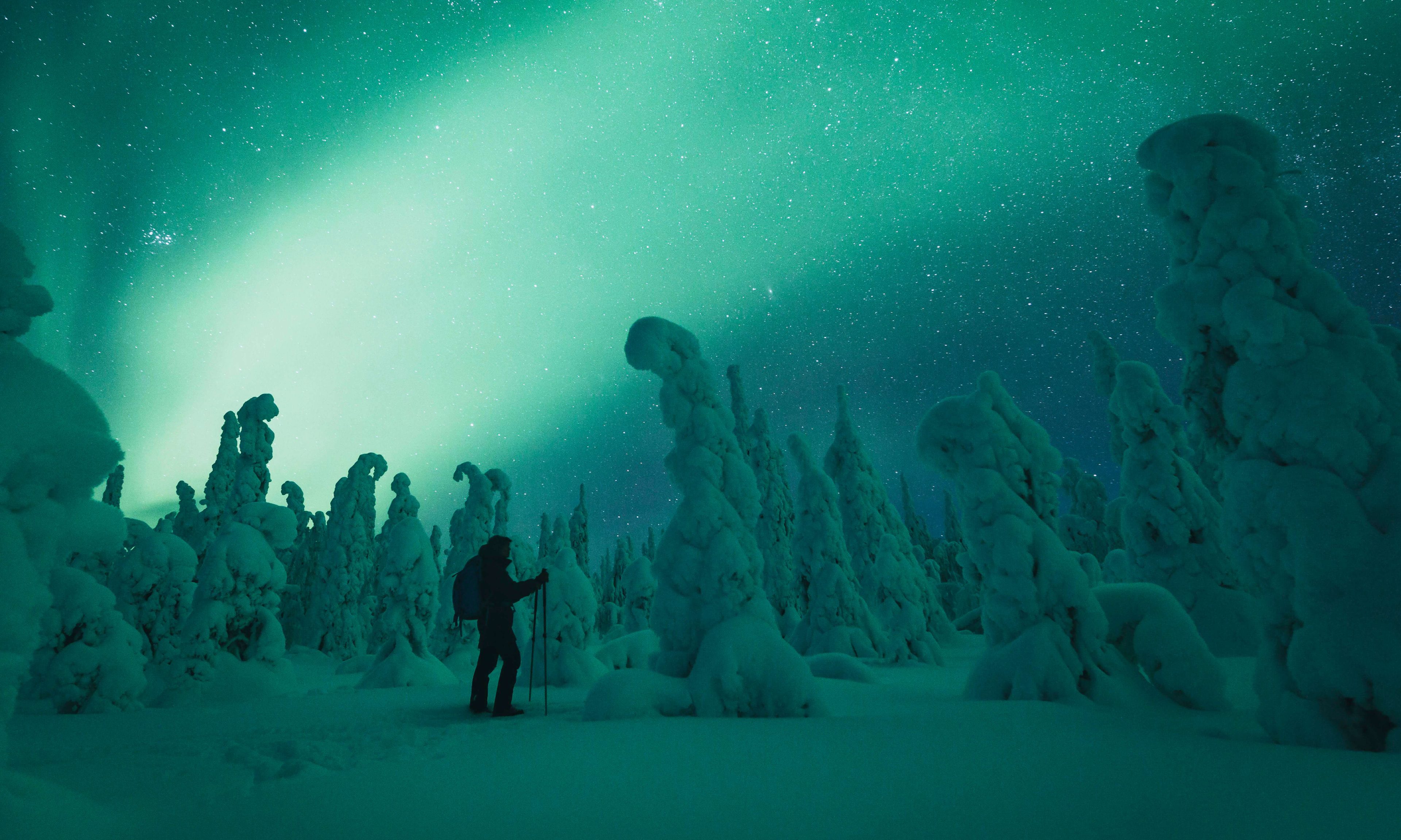 Man amazed of the magical northern lights. | Lapland Luxury