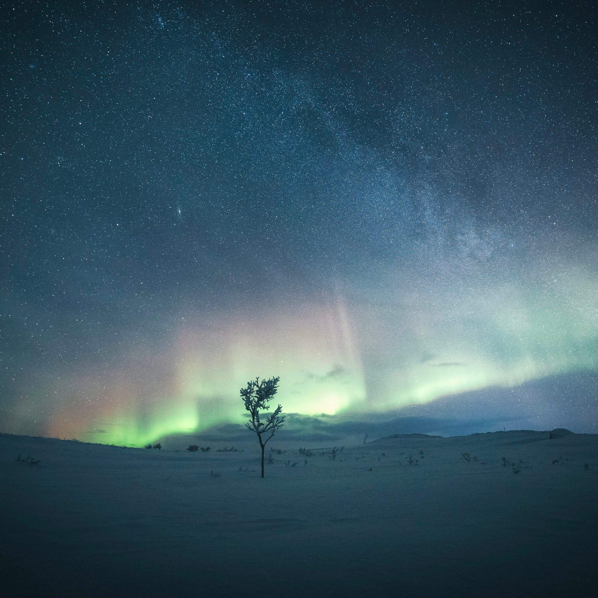 Tranquil winter scenery with northern lights. | Lapland Luxury