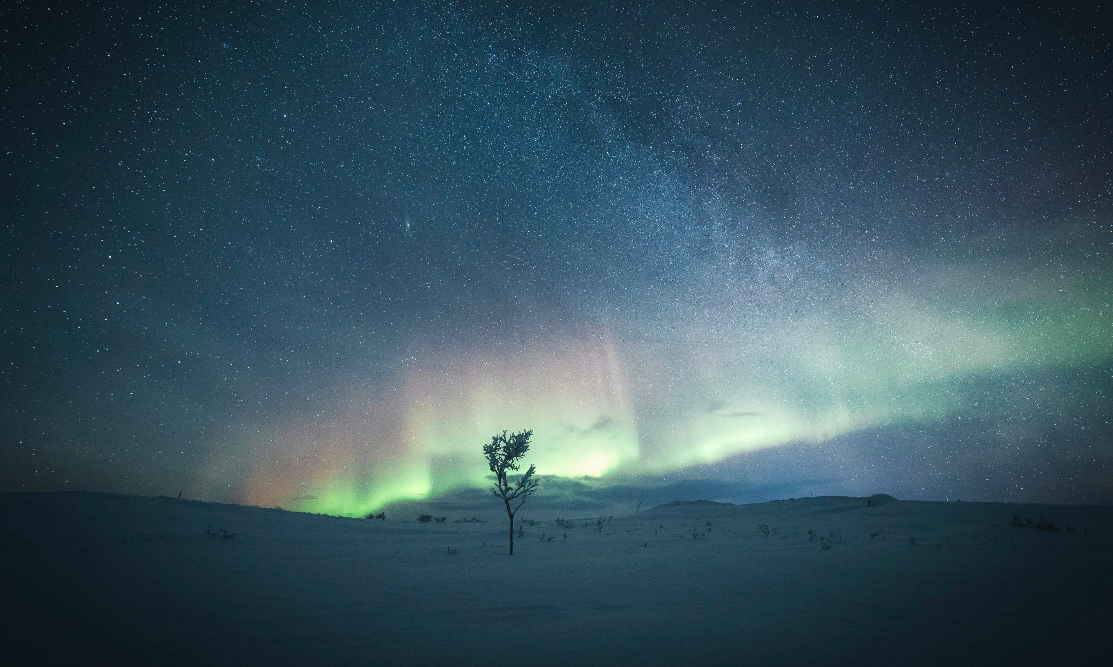 Tranquil winter scenery with northern lights. | Lapland Luxury