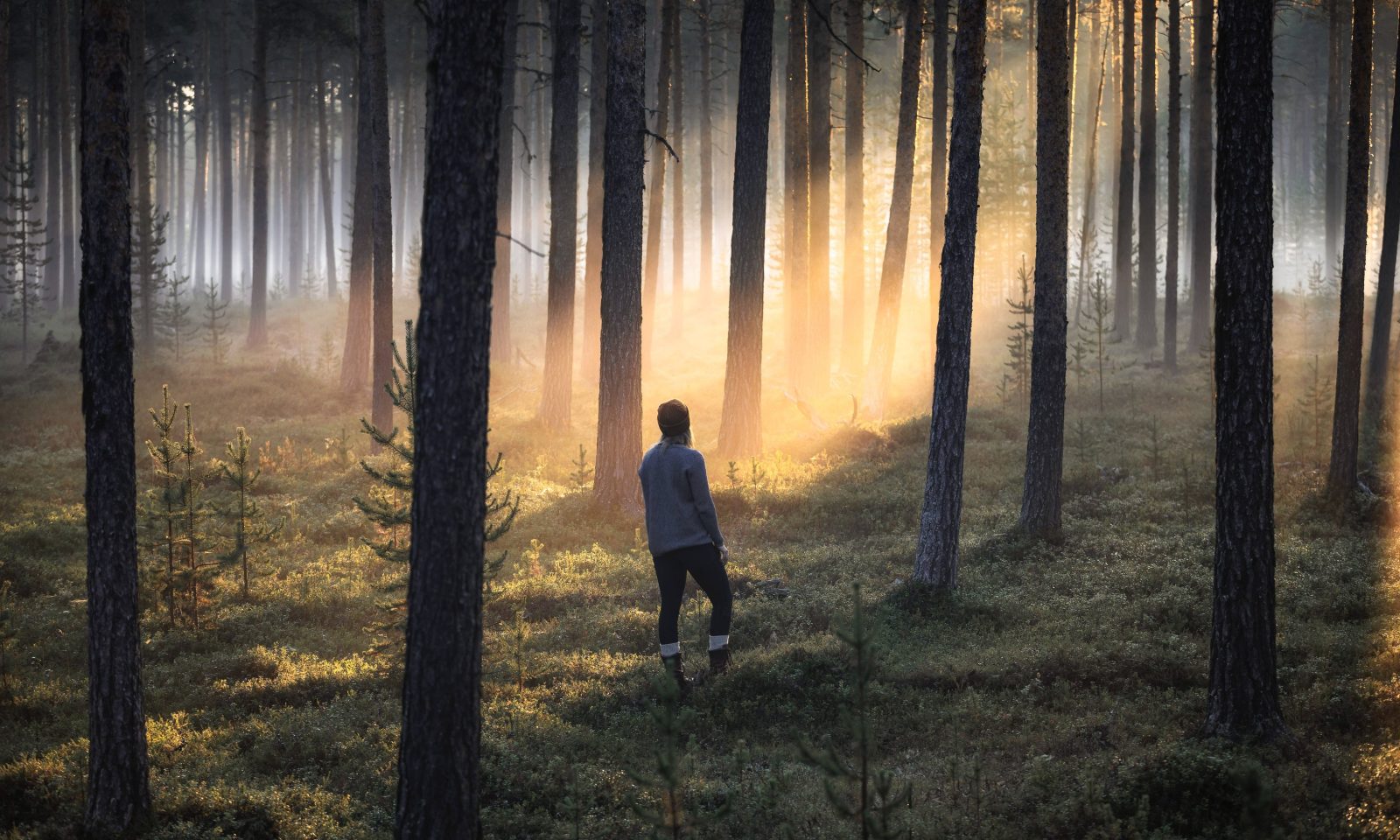 Woman enjoying Finnish nature on her magical luxury travel. | Lapland Luxury