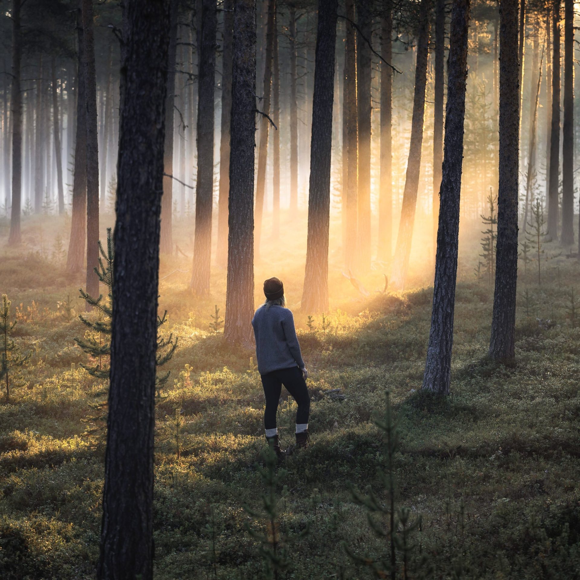 Woman enjoying Finnish nature on her magical luxury travel. | Lapland Luxury