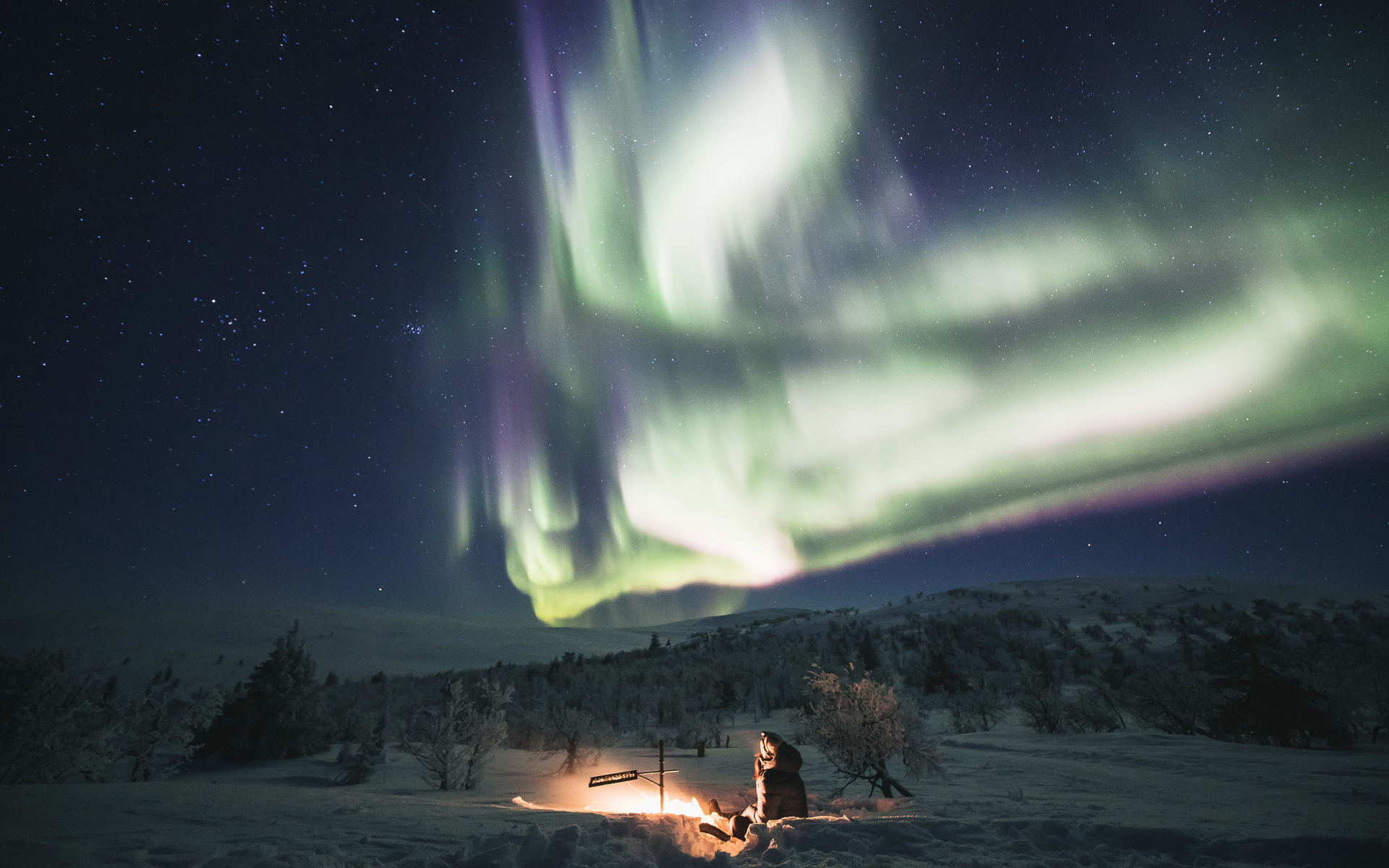 Person enjoying northern lights in Lapland.