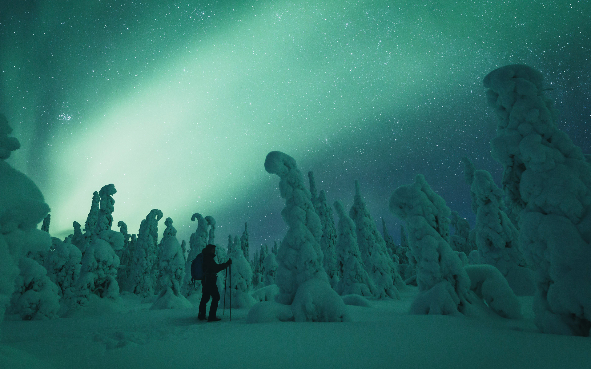 Man amazed of the magical northern lights. | Lapland Luxury