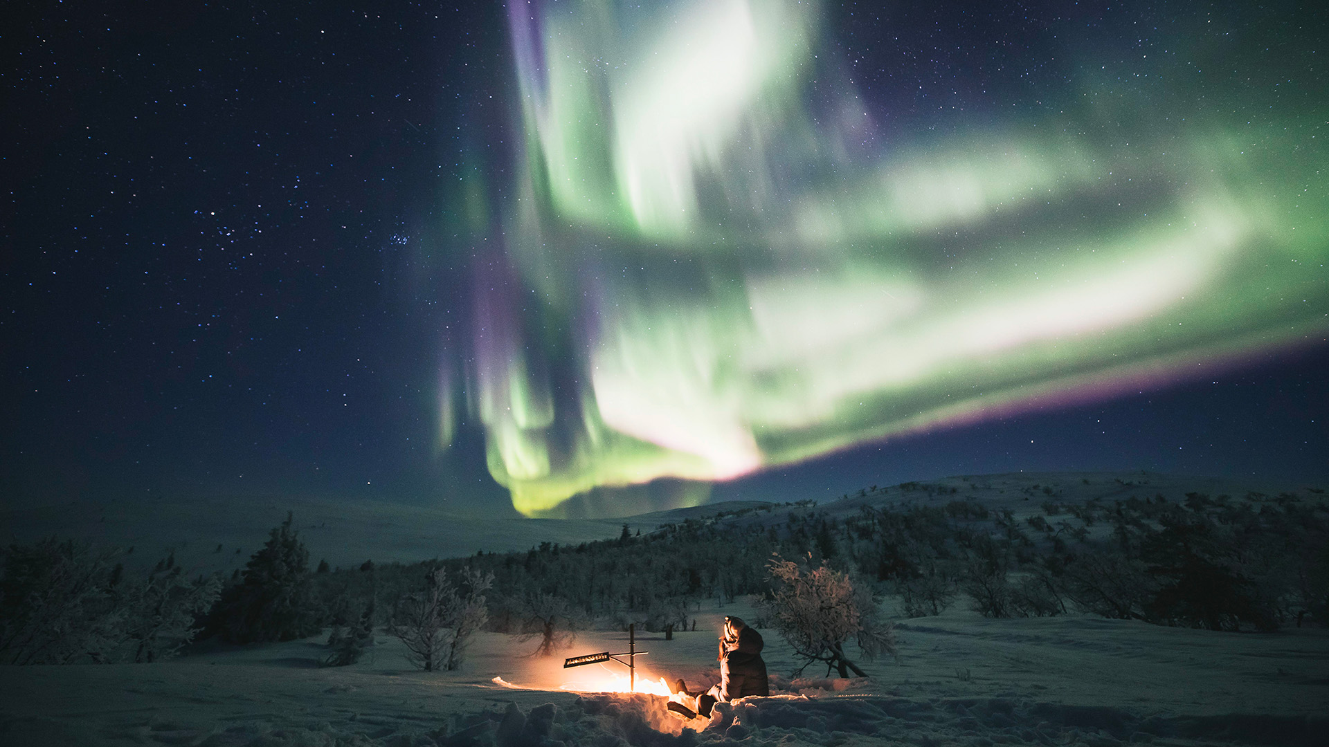 Person enjoying northern lights in Lapland.