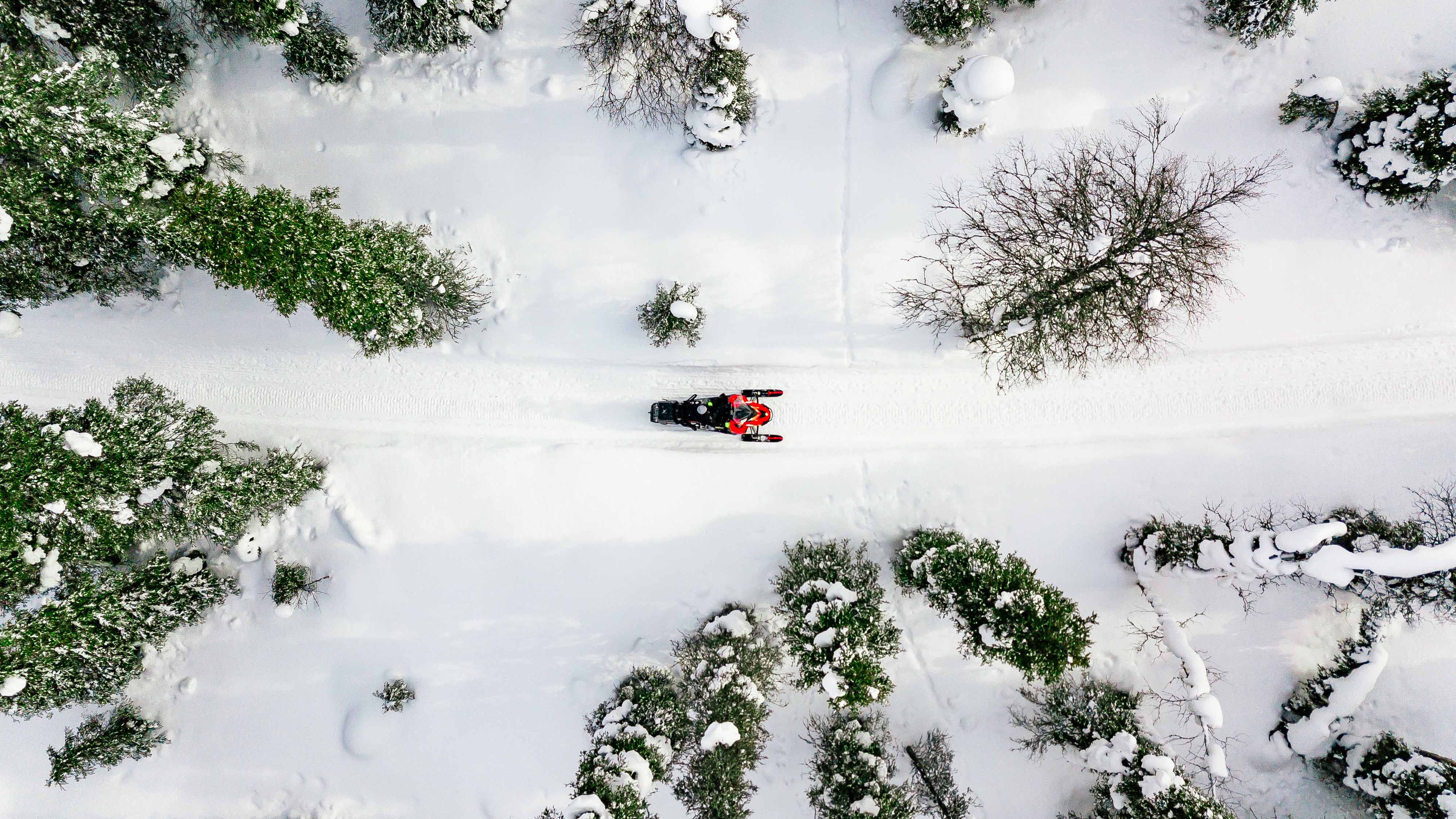 Snowmobile riding through northern forest in winter. | Lapland Luxury