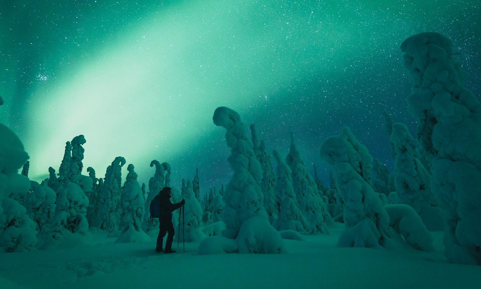 Man amazed of the magical northern lights. | Lapland Luxury